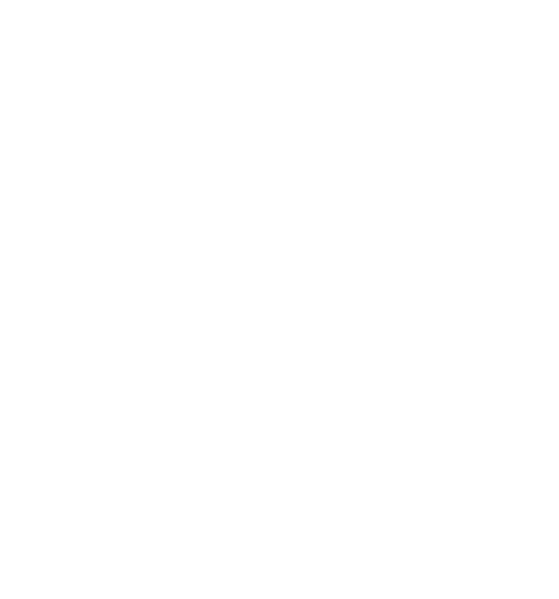 rodizio